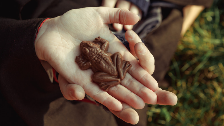 chocolate frog on palm of hand