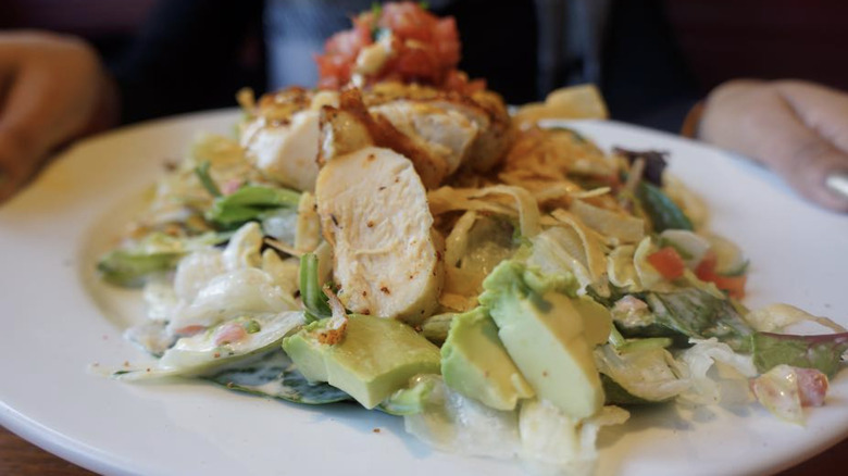 Chicken and avocado salad on plate