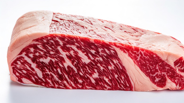 Wagyu beef