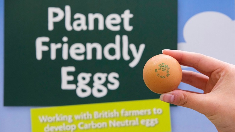 Planet Friendly Eggs at Morrisons 