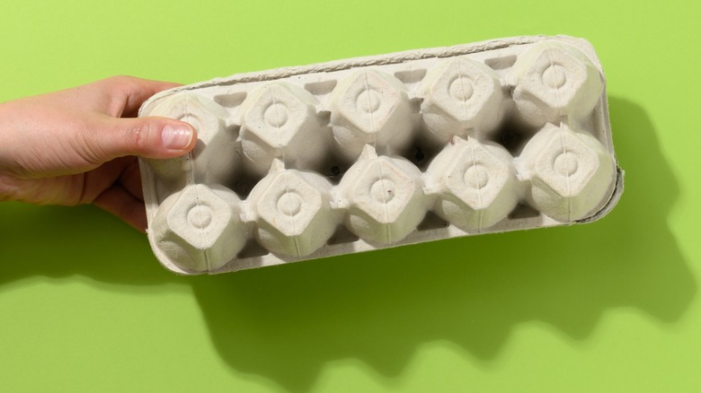 person holding an egg carton