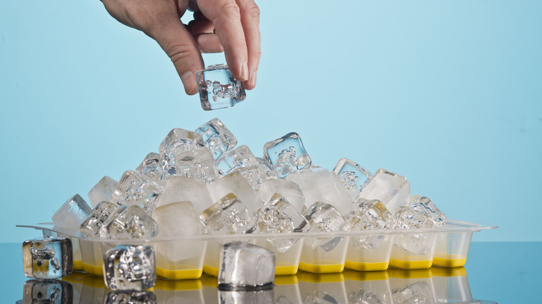 Person putting cube of ice on pile of ice in a tray