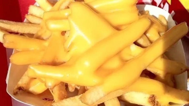 cheese fries in white bowl