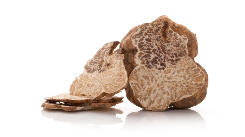 White truffle on a white background