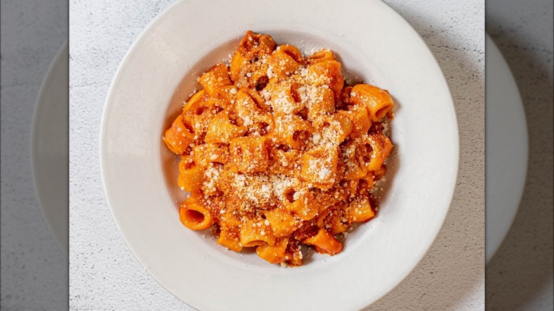 plate of rigatoni with cheese