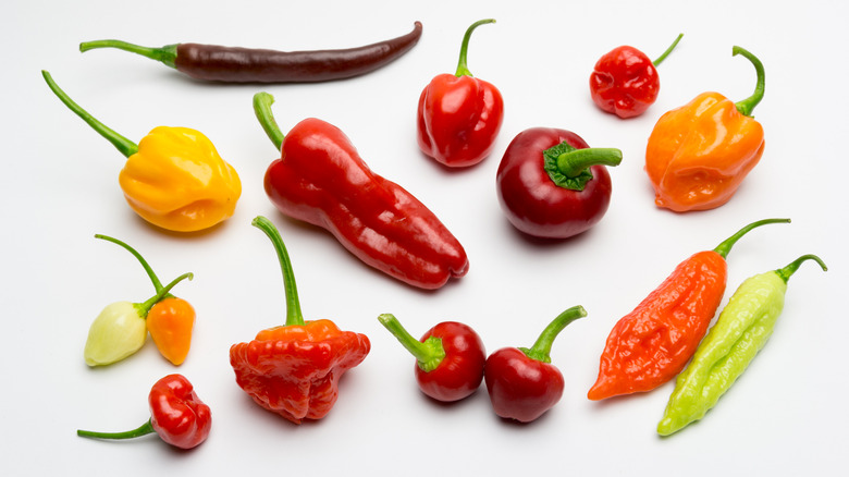 Hot peppers on white background