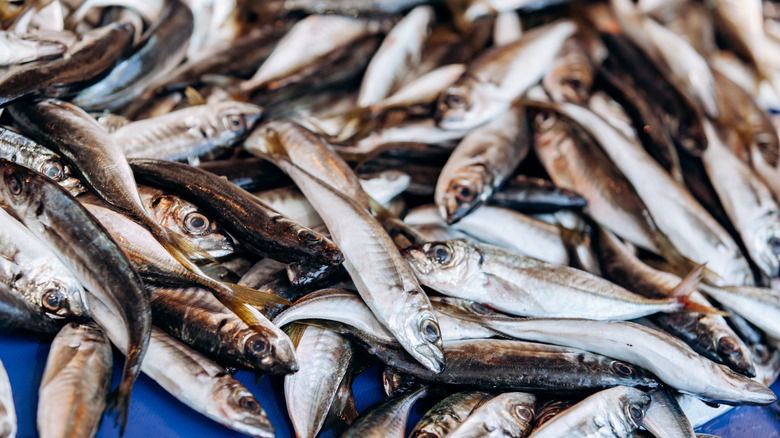 The Key Flavor Difference Between Sardines And Anchovies