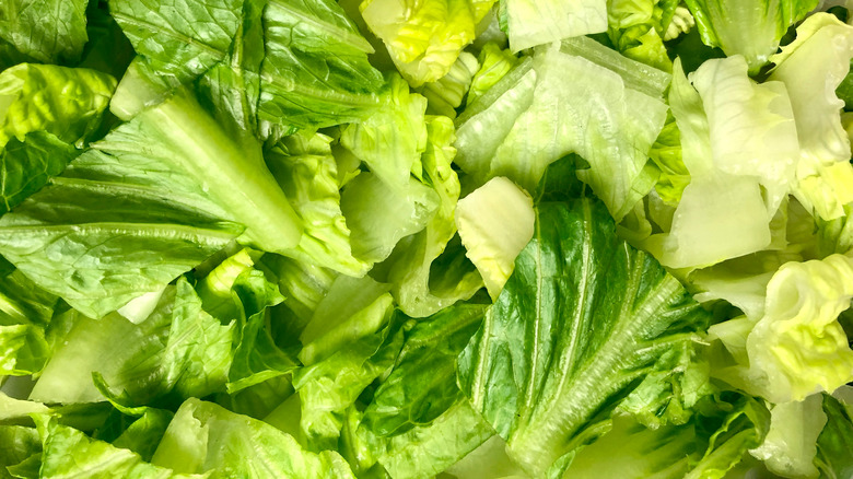 Chopped romaine lettuce background