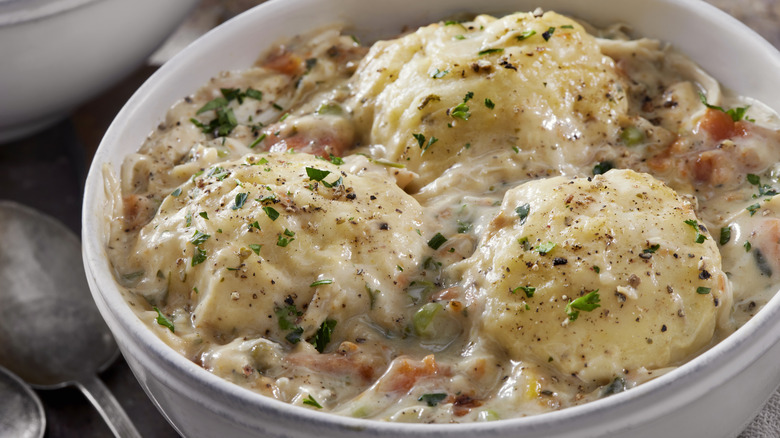 Chicken and dumplings in bowl