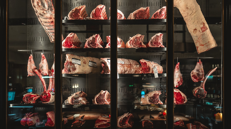 dry-aging steak cabinet