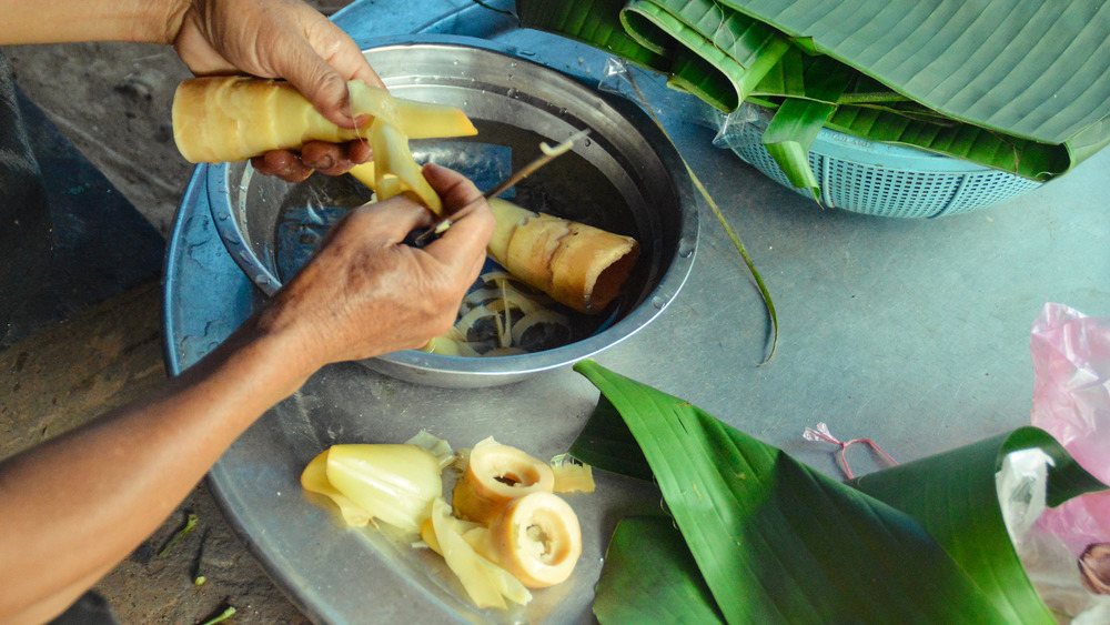 Laotian cooking fresh bamboo shoots