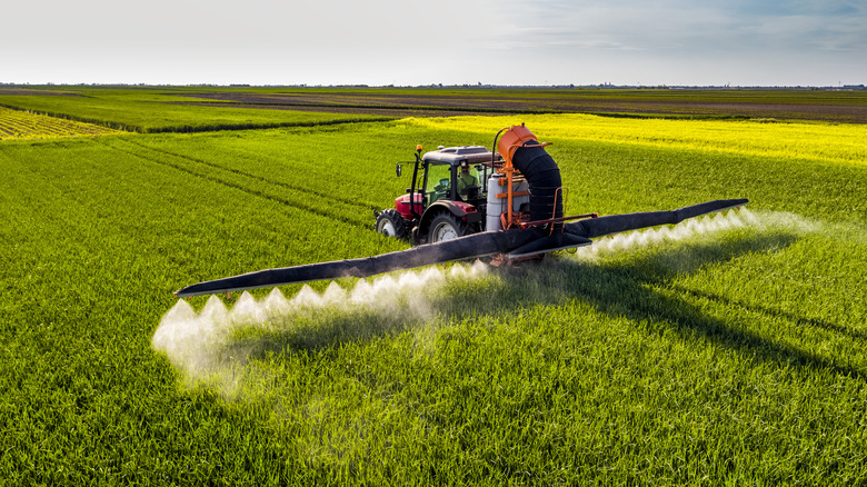 Orange tractor spraying green crops