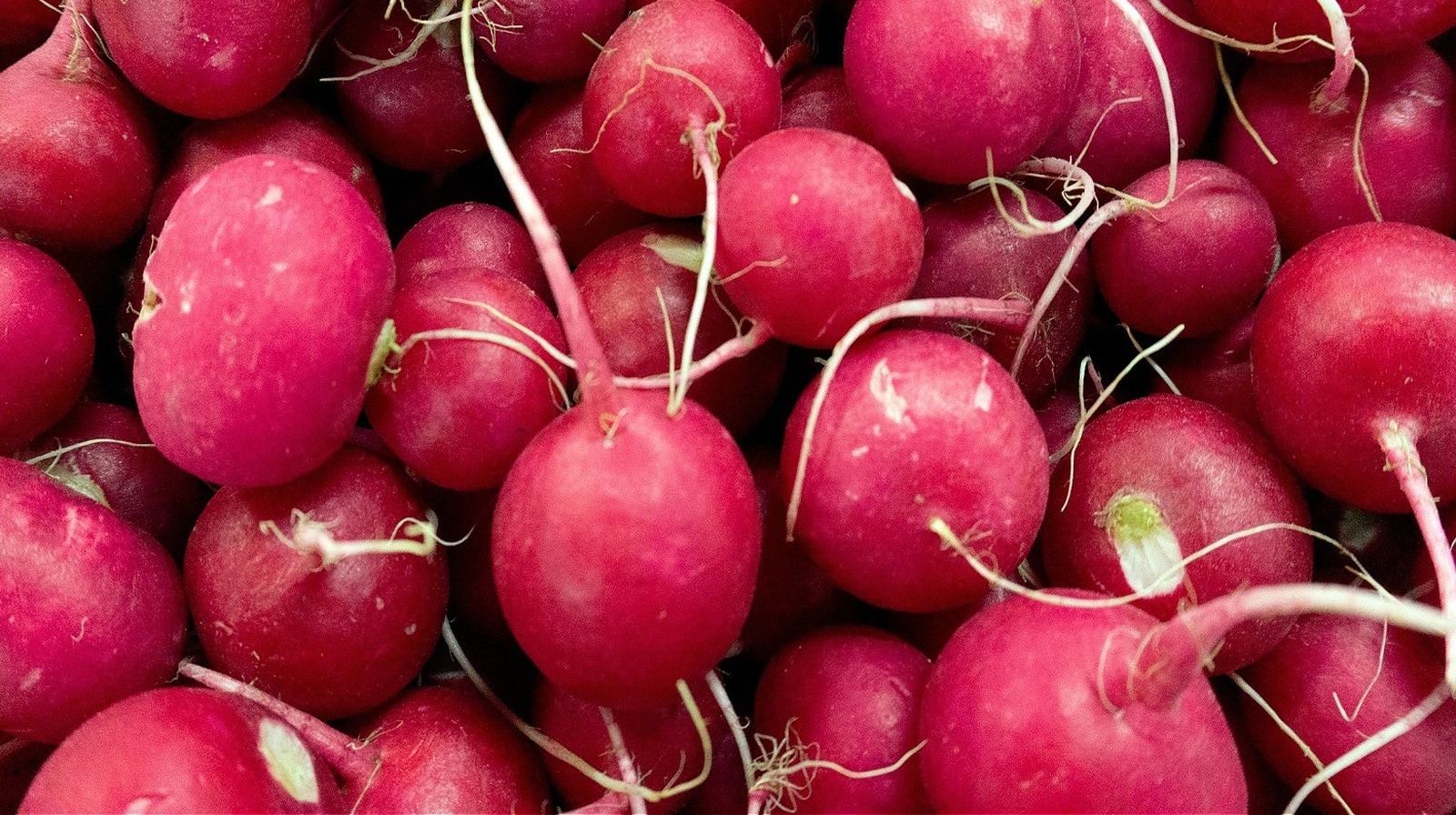 the-mexican-festival-that-pays-homage-to-the-radish