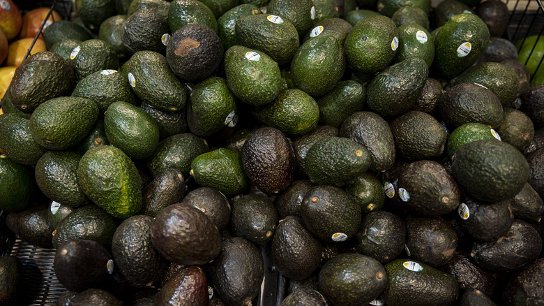 Avocados in a store bin