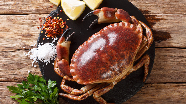 Brown Edible crab against a brown background