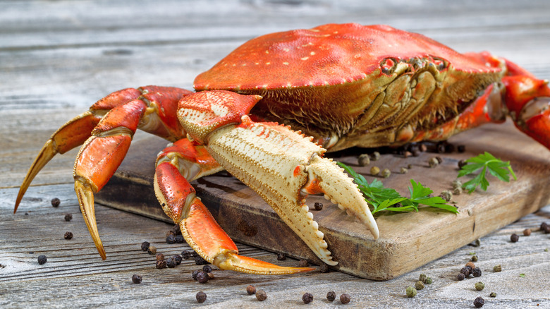 Dungeness crab on cutting board