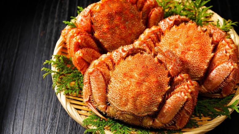 Horsehair crabs on a woven plate