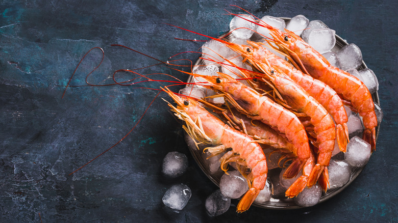 Red shrimp on ice