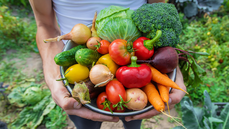 hands holding a bowl of vegetables with a vegetable garden in the background