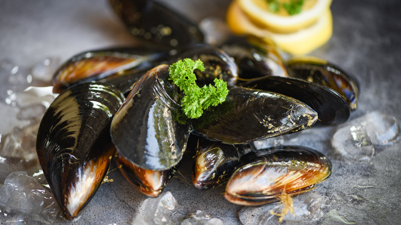 raw mussels on a dark surface