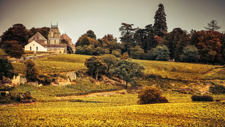 Burgundy fields