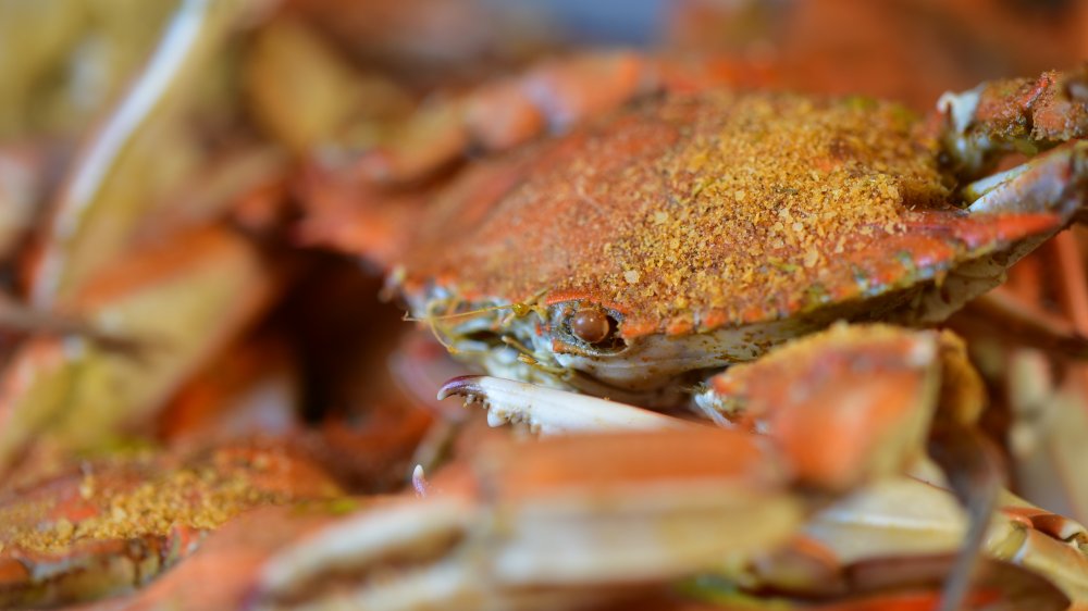 famous food old bay crab