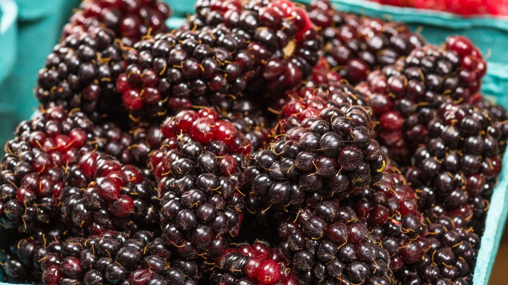 famous food Marionberries