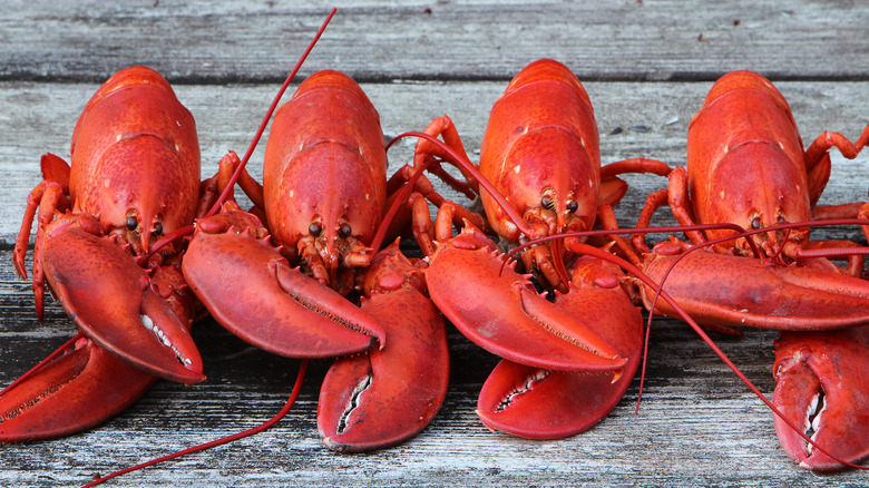 Four steamed lobsters