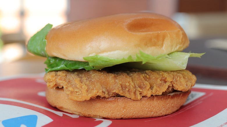 Chicken burger with lettuce and mayonnaise