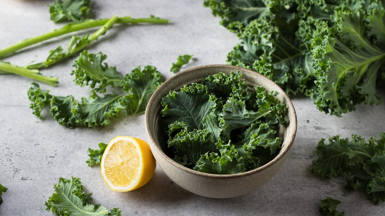 kale leafy green vegetable