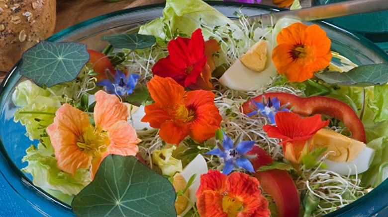 edible flowers in bowl