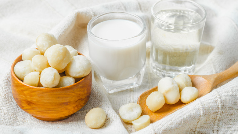 Macadamia nuts and milk in a glass