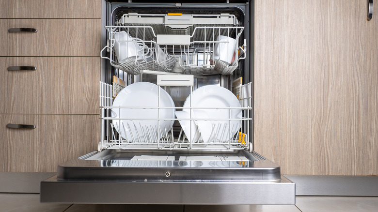 open dishwasher with white dishes