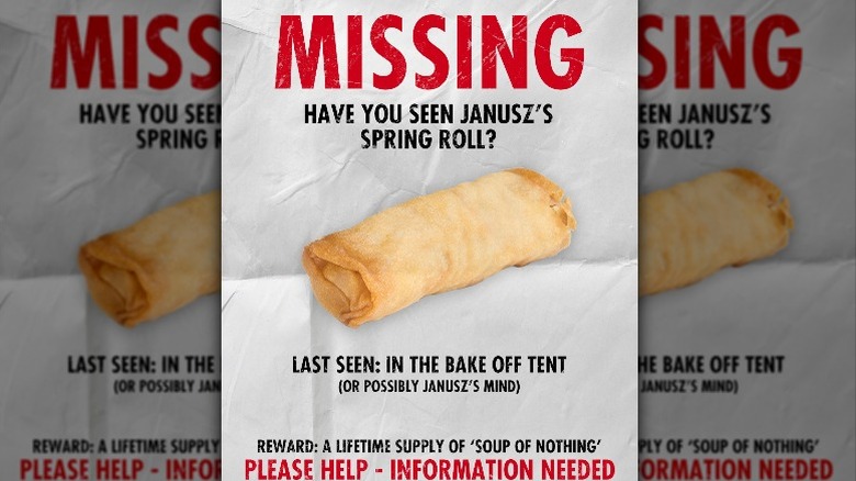 Janusz Springroll Missing Poster 