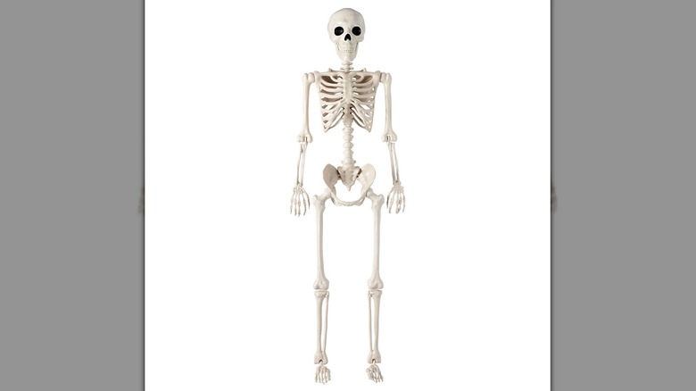 posable skeleton aldi