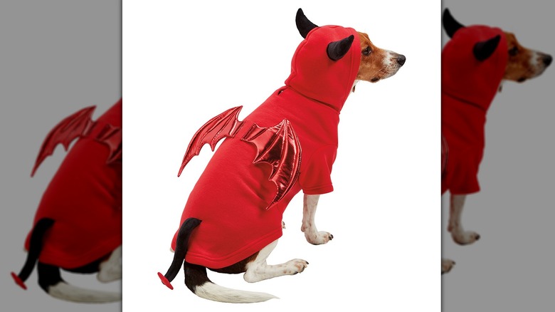 Pet Costume