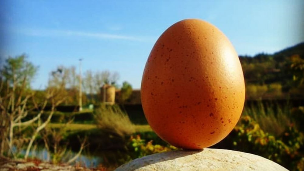 Egg perfectly balanced, upright, Spring equinox 