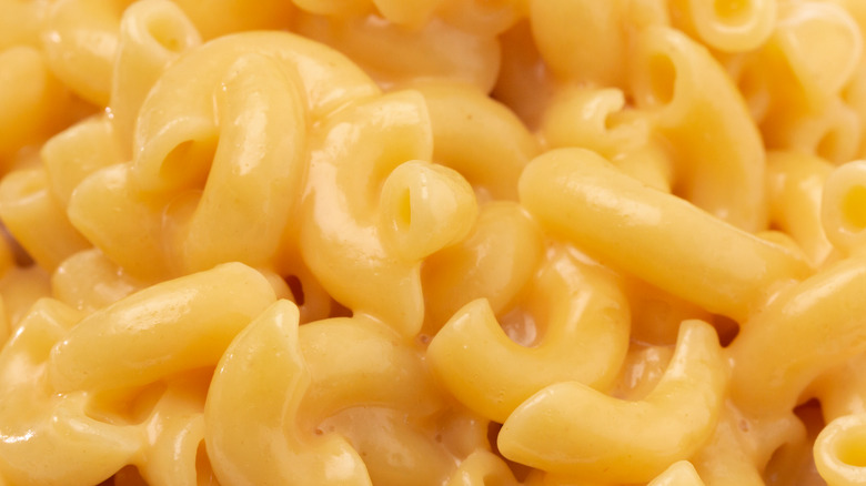 Close up of macaroni and cheese