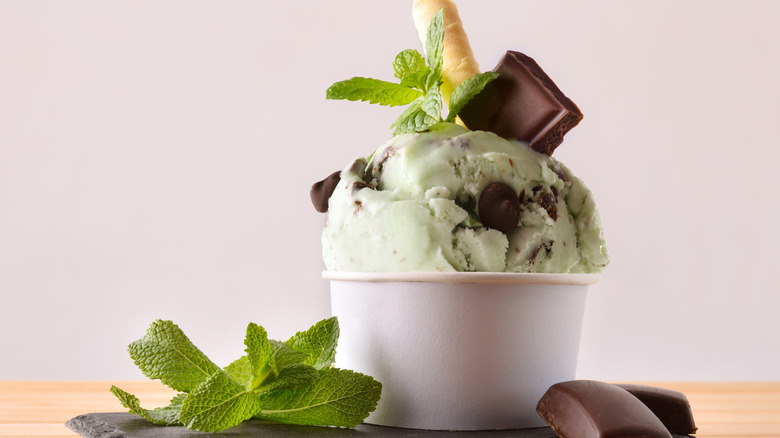 Mint chocolate chip ice cream