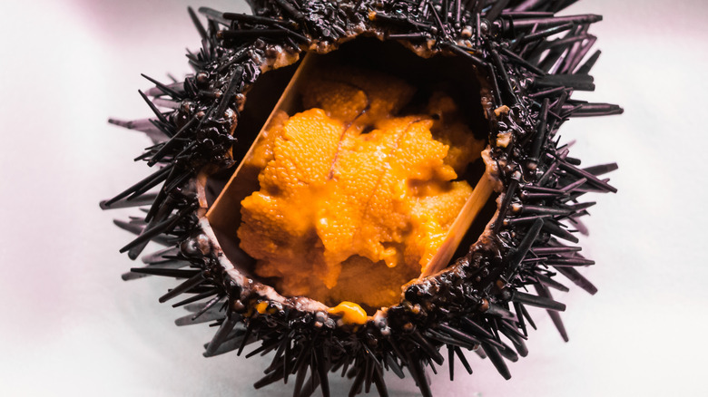 an open sea urchin