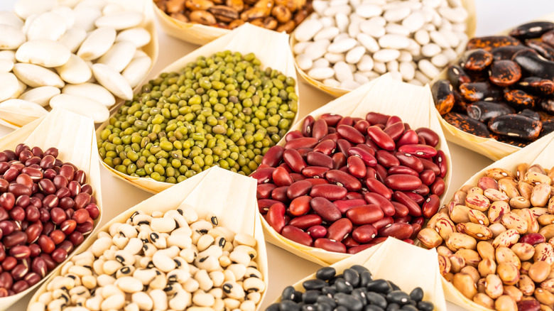 colorful variety of dried beans