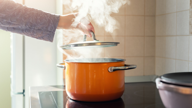 person taking lid off a pot of hot boiling water on the stove