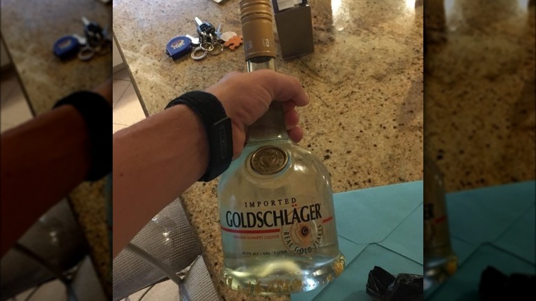 Hand holding bottle of Goldschlager