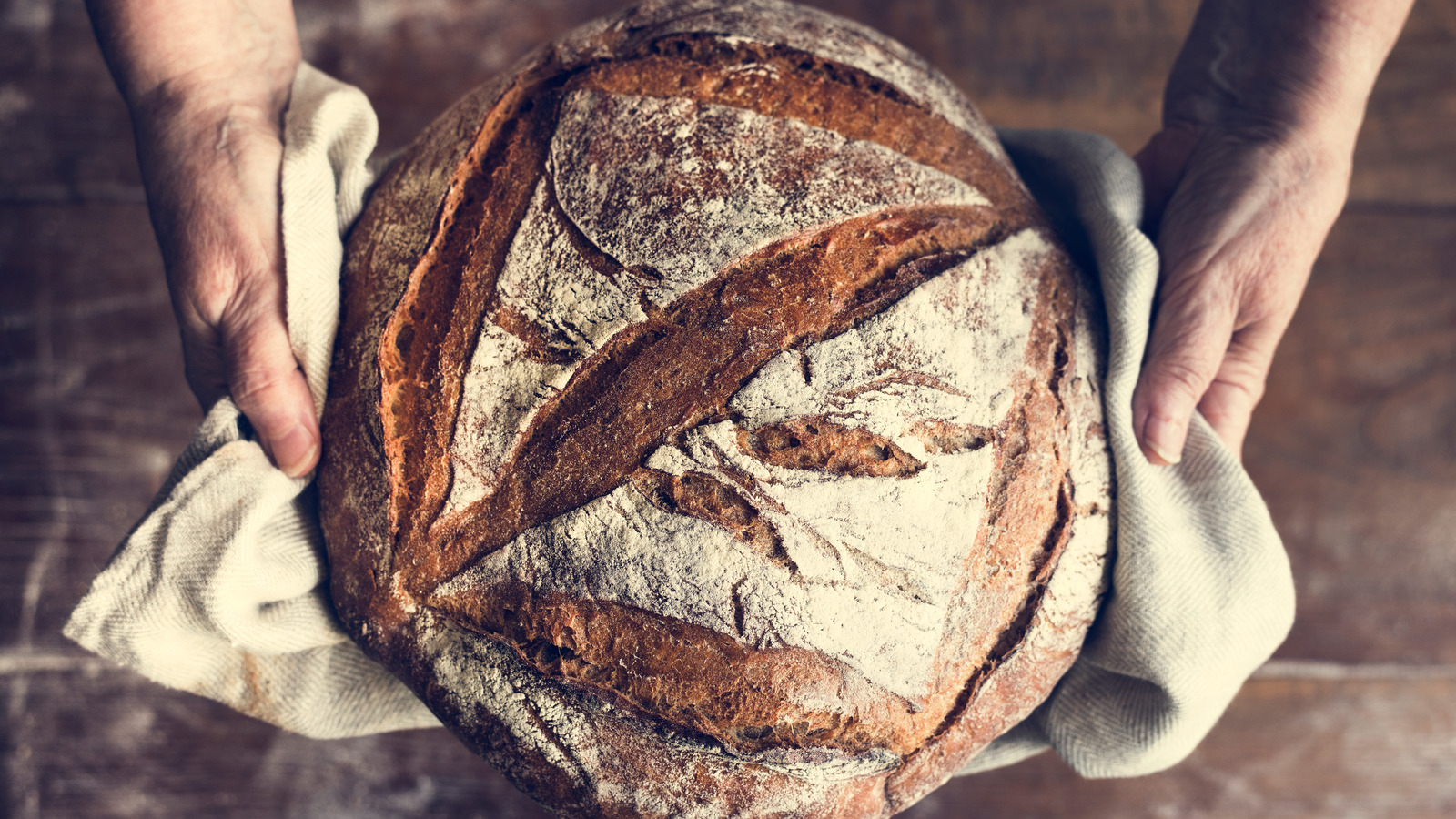 State of the Sourdough: 2020 » The Smugatarian