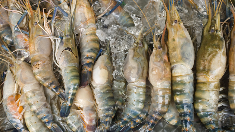 Shrimps and prawns on ice