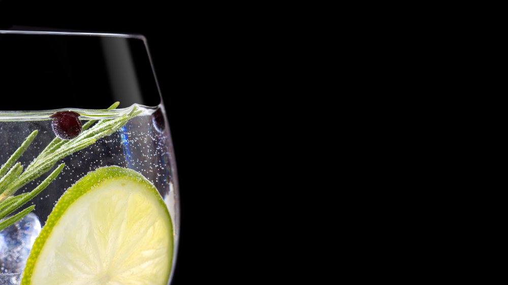 close up of a gin and tonic with a black background