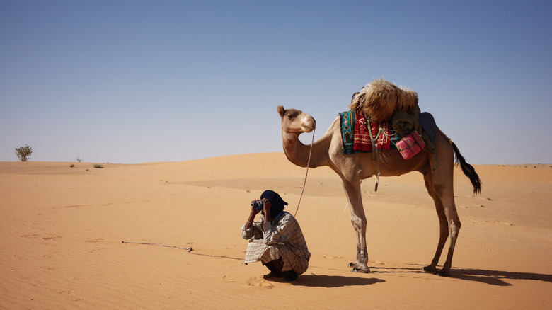 Traveling across the Sahara