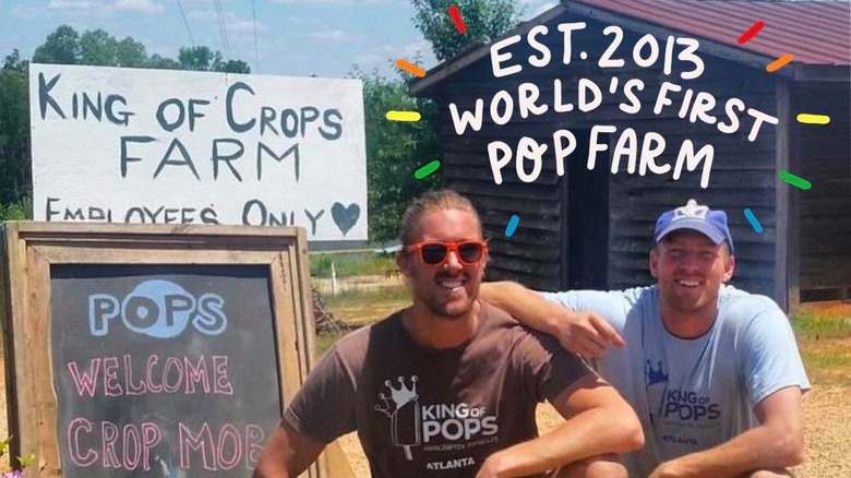 Carse brothers at King Of Crops farm