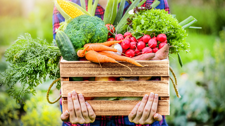 A basket of fresh fruits and veggies