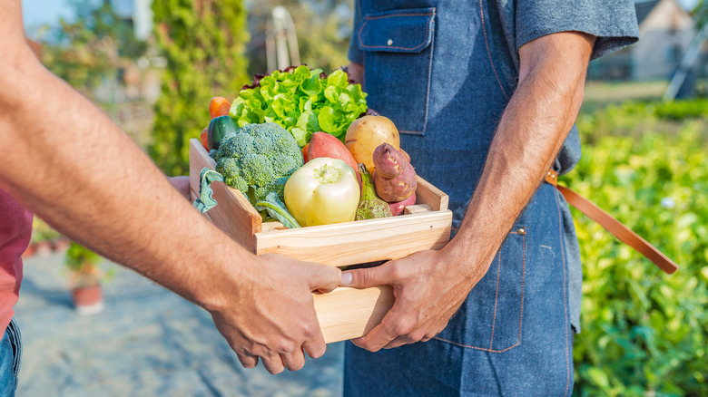 person buying box of produce at farmers market